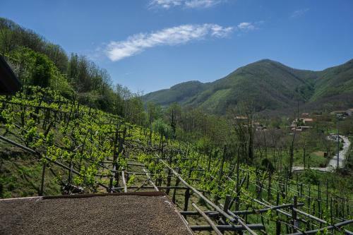 B&B Il Tintore