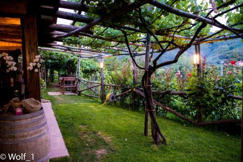 B&B Il Tintore