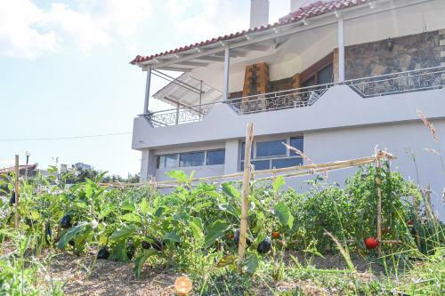 Villa Esperanza