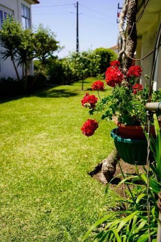 Hostal Casa Do Av� Hor�cio