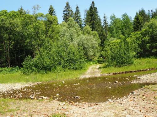 Chata Na Polanie Ze Stawem