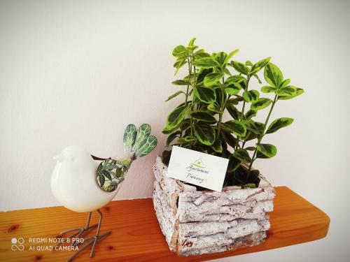 Apartament Parkowy