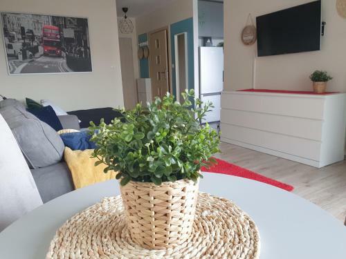 Apartamento Mieszkanie Aquapark Reda