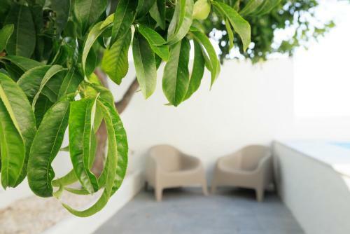Casa Mestre Alvor