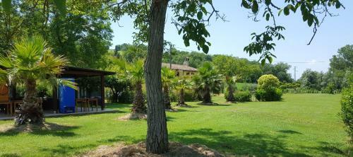 Agroturismo Il Noceto