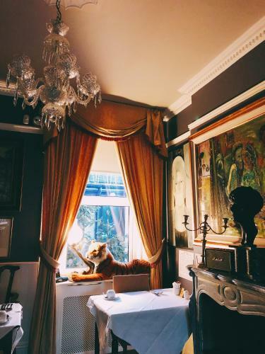 Hostal Rose Lodge Guest House