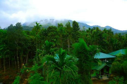 Bed & Breakfast Shibi's Tea Garden Heritage