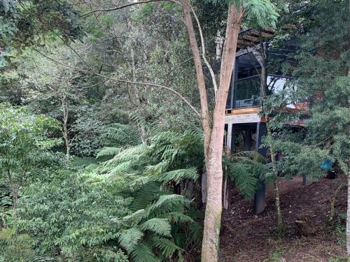 Hostal Floresta Secreta- Pousada Cachoeira Da Neve
