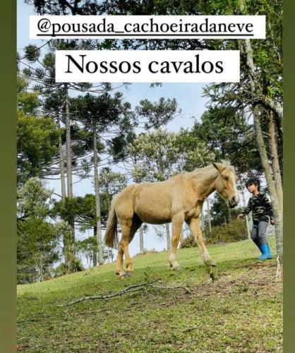 Hostal Floresta Secreta- Pousada Cachoeira Da Neve