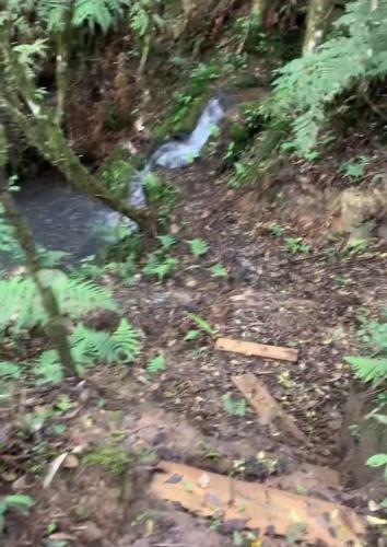 Hostal Floresta Secreta- Pousada Cachoeira Da Neve