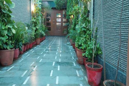 Hotel Kiaara