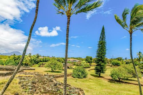 Prince Kuhio 319