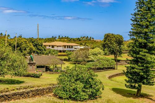 Prince Kuhio 319