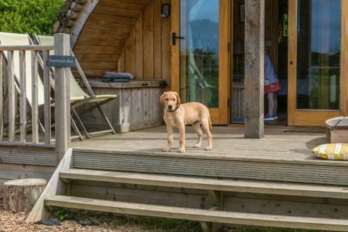 Luxury Log Cabin With Wood Fired Hot Tub