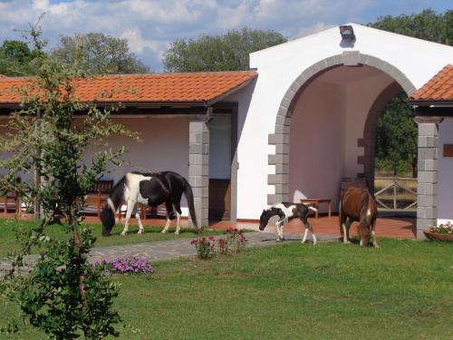 Hotel Su Baione