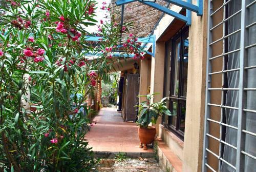 La Casa Dellartista Tra Arte E Natura