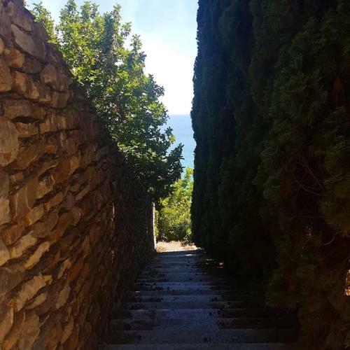 Hostal La Marfra Affittacamere