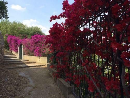 Hostal La Marfra Affittacamere