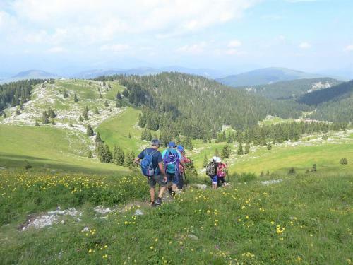 Holiday Home Lastebasse