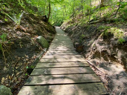 Villa Hampton Park Rozewie