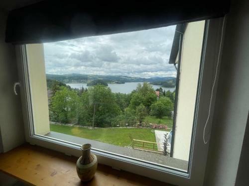 Apartamentwroznowiepl