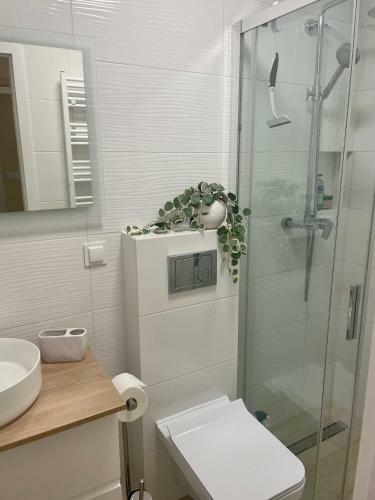 Apartamento Przystanek Surfera