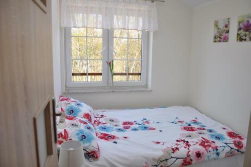 Apartamenty Magellan Rowy