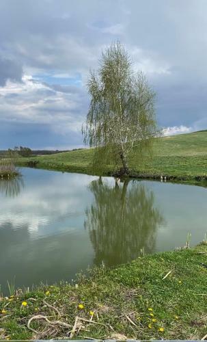 Agroturystyka Nad Jeziorem Silickim Ili?scy