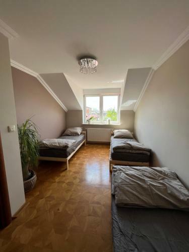Apartament Batorego