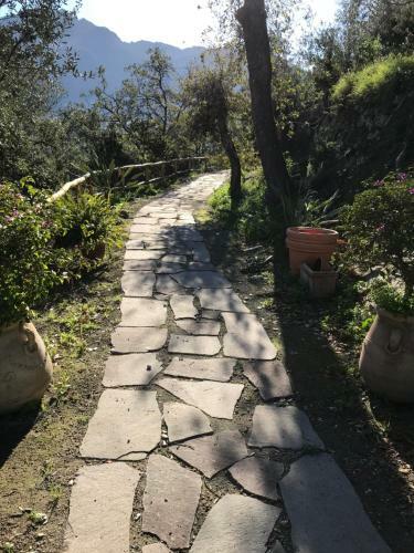Villa Tenuta Marecoco By Dimorra