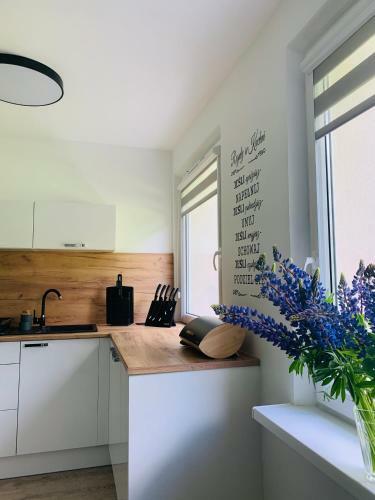 Apartament Na Zatorzu