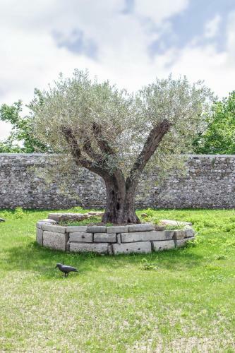 Bed & Breakfast Al Sa Di Te