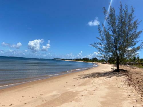 Apartamento Flat Alto Padr�o Barra Grande