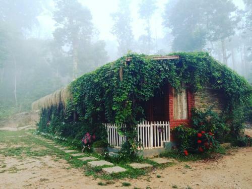 Villa Livingstone Rustic Homestay, Chikmagalur