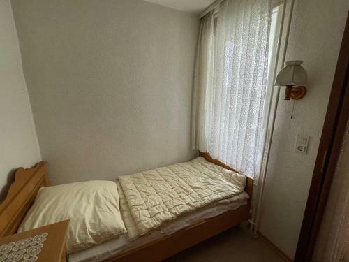Apartamento Uriger Bocksbergblick Ferienpark Hahnenklee