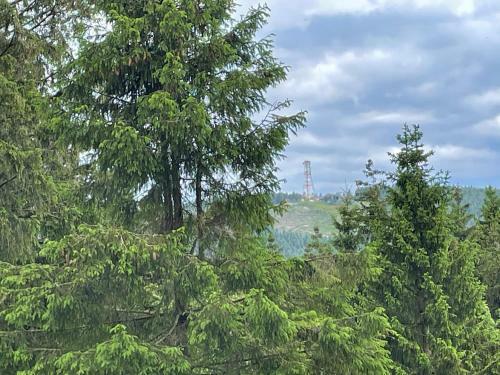 Apartamento Uriger Bocksbergblick Ferienpark Hahnenklee