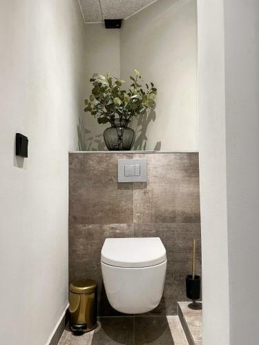 Ny Style Entire Apartment W/private Cozy Terrace