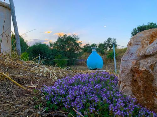 Hostal Dimora Tre Fiori