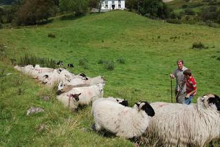 Bed & Breakfast Drumcorroy Farmhouse