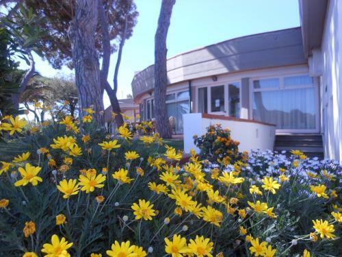 Aparthotel Il Lido