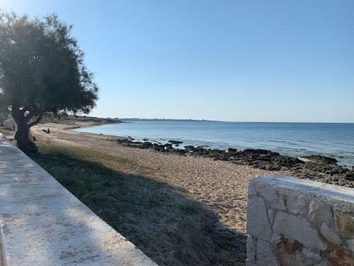 Villa Salento Localit� Torre Ovo - Villa Cice