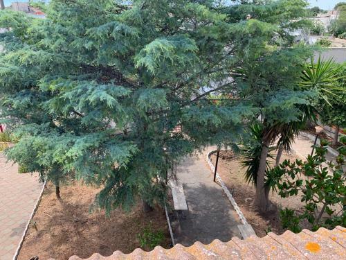 Villa Salento Localit� Torre Ovo - Villa Cice