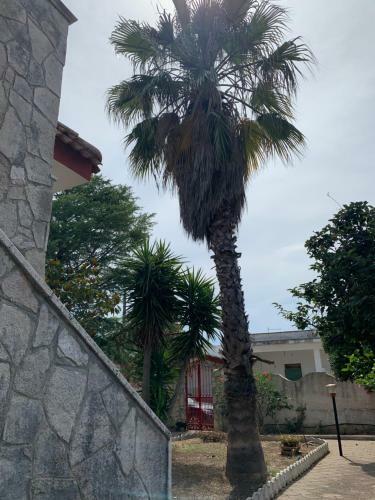 Villa Salento Localit� Torre Ovo - Villa Cice