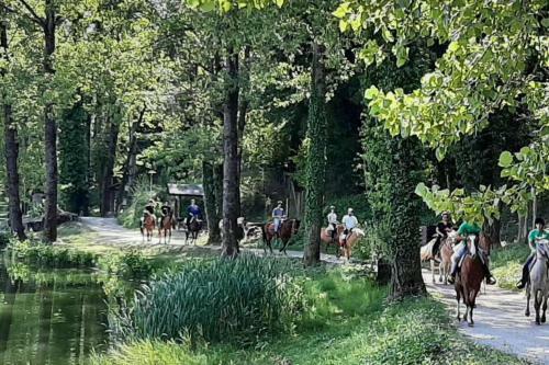 Beautiful 2-bed House In Longoio Bagni Di Lucca