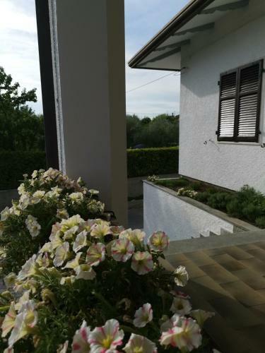 Hostal Villaflora