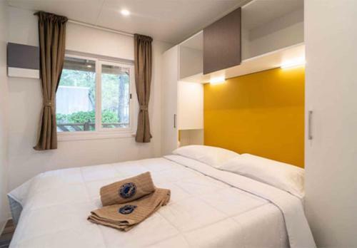 Apartments In Lido Di Jesolo 42881