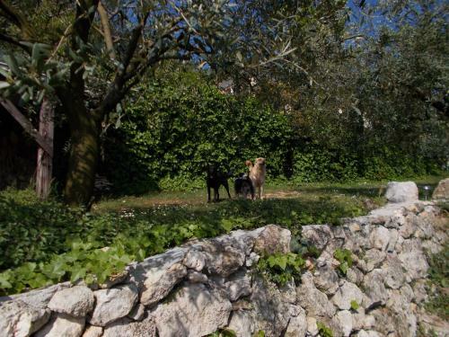 Montericco B&B