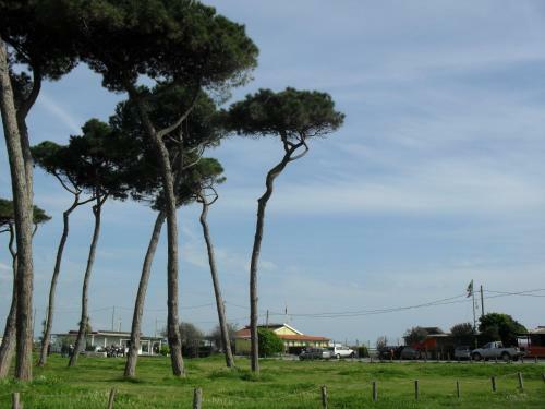Apartamento Residence Pax