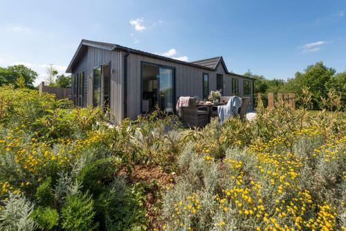 Clover Lodger, 32 Roadford Lake Lodges, Lifton