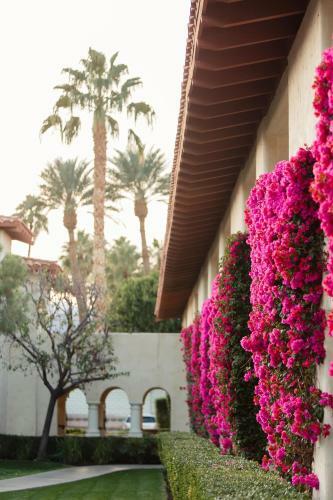 Hotel Miramonte Resort & Spa